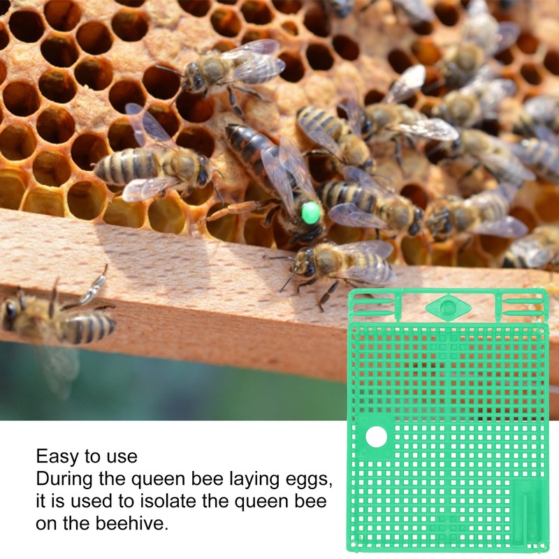 5Pcs Reusable Queen Bee Isolator Portable Queen Introducing Cage Beekeeping