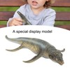 Simulation Yellow Kronosaurus Dinosaur Model Educational Dinosaur Model Toy for