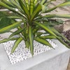 FANTIAN 40 lbs White Rocks for Landscaping, 1-2 Inch White