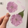 FRAINBOWZ 90Pcs Flower Sticker Set, Transparent and Natural Colors for
