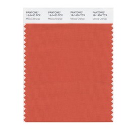 PANTONE Smart 18-1450X Color Swatch Card, Mecca Orange