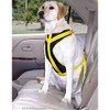 Safety Harness Canine Auto, Size: Medium
