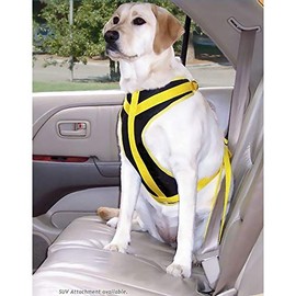 Safety Harness Canine Auto, Size: Medium