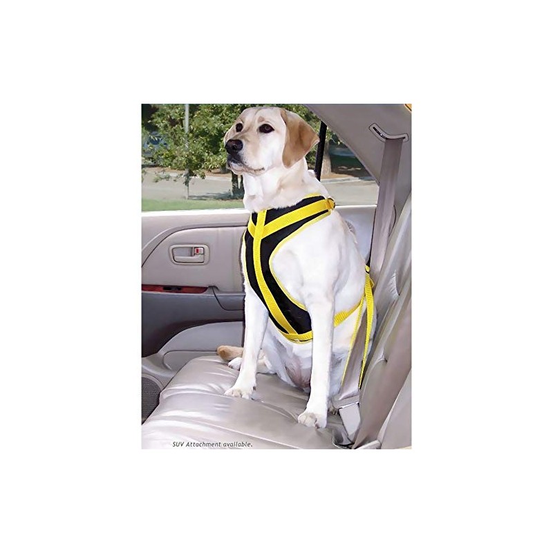 Safety Harness Canine Auto, Size: Medium