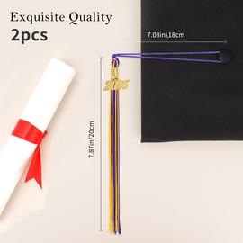 2025 Graduation Tassels - Purple & Gold, 2-Pack with Tassel Charms for Preschool Graduation Cap