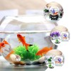 GANAZONO Glass Bowl and Vase - Clear Terrarium Globe for