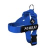 Marlio Adjustable Dog Harness - Stop Pulling, No Choke, Ensure