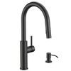 FORIOUS Kitchen Faucet with Soap Dispenser, Modern Matte Black, Single