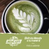 MOCAFE Bebida Matcha Green Tea 1360 gr Frappe