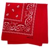MDSTYLE Bandana, Large, 22.0 x 22.0 inches (56 x 56