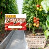 3 Pack Tomatoes Yard Sign 12" x 16" Double-sided Print