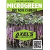 Axel's Garden Seeds Red Acre Cabbage MICROGREEN Seeds | Heirloom