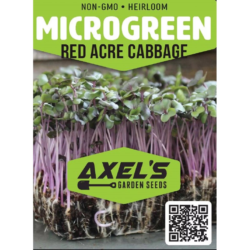 Axel's Garden Seeds Red Acre Cabbage MICROGREEN Seeds | Heirloom