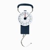 Status Mechanical Luggage Scales
