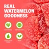 Shameless Snacks - Healthy Low Calorie Snacks, Low Carb Keto