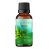 B Nature Aceite Esencial Menta Arvensis Bnature Puro Natural 30