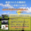 Organic Sencha Kagoshima Gold Seal Green Tea Organic Domestically Produced