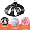 PETPUBGNZS Soft Small Dog Harness and Leash Set Step in