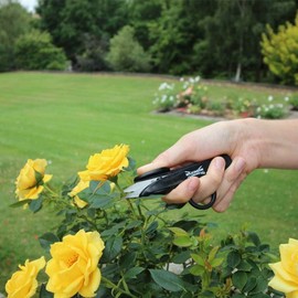 Wilkinson Sword 1111307W Deadheading Snips, Black