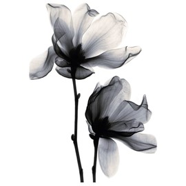 X-Ray Flower Tattoo Flower Tattoo Temporary Tattoos KM205