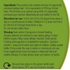 Organic Herbal Remedies 100ml Ginkgo Biloba Tincture