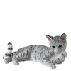BFA Cats Cat Lying Licking Paw