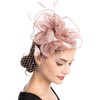 AiduduPet 50S Fascinator Hat for Women,Kentucky Derby Fascinators Funeral Veil