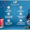 Sugar-Free Blueberry Syrup by Syruvia 6-Pack, 25.4 fl oz, Wholesale