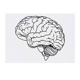 Azeeda 'Gehirn' Temporäres Tattoo - Hautfreundlicher & Ungiftiger Abziehbild · Wasserfest (TO00040014)