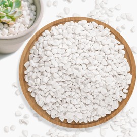 Sukh White Pebbles for Indoor Plants - 1/5 Inch Natural Decorative White Rocks,Polished River Stones,Small Pebbles for Succulent and Cactus,Outdoor Gardening,Vases,Landscaping,Fish Tank