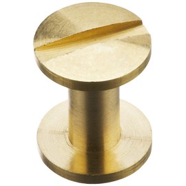 Ichinen Access Family Tool 57435 Single Screw Screw (0.3 x 0.16 x 0.4 inches (9 x 4 x 9 mm), Gold, 5 Pairs