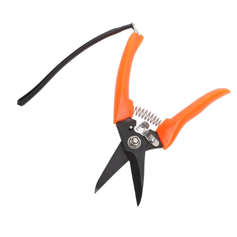 Hoof Shear Red Stainless Steel High Carbon Steel Multifunctional Hoof