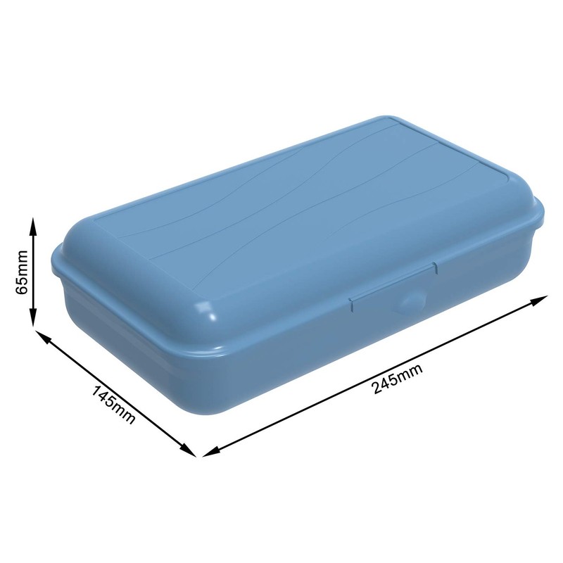 Rotho Fun Lunch Box with Removable Divider Plastic (BPA Free)