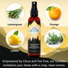 Lumi Outdoors Natural Shoe Deodorizer Spray 3 Pack Bundle -