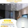 E11 LED Light Bulbs Dimmable 7W Equivalent to Halogen Bulb