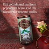 The Republic of Tea - Peppermint Cuppa Chocolate Tea, 36