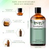 PHATOIL Aroma Oil Eucalyptus Essential Oil 100 ml Aroma Oil