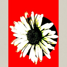 CafePress Red And Black Daisy Canvas Tote Top Zipper Closure