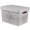CURVER 04742-099-00 Infinity Points Plastic Storage Box with Lid, Light