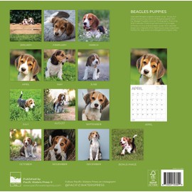 Beagle Puppy 2026 Wall Calendar | 12" x 24" Open | Dog Calendar Photography Thick & Sturdy Paper for Planning | Office Kitchen Decor or Gift | Pacific Waters Press (Beagle Puppies)