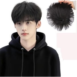 RemeeHi Men's Wig, Short, Medical Wig, Human Hair, Machine Made/Hand-planted Cap, Pulled Cap, Natural Black, Top Cover, Conceals Gray Hair, Pointed Wig, Partial Wig, For Men