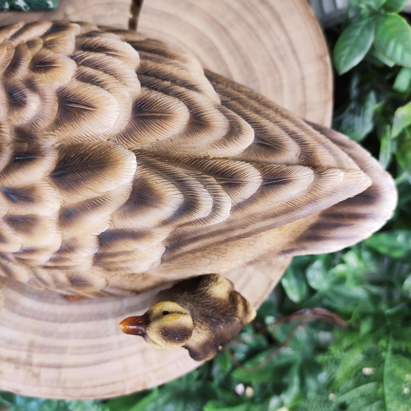 Vivid Arts - Mother Duck & Ducklings -