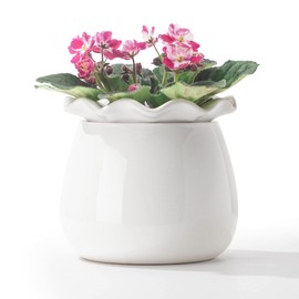 Fayoula Self Watering Plant Pot, 6 Inch African Violet Pots Maintenance, Ceramic Self-Watering Planter for Indoor Plants - Ideal Flower Pot for Thriving Indoor Gardens, White
