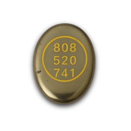 TRRYSTALS Natural Gemstone Zibu Coin with Sacred Symbol Design | Pyrite Stone Decorative Coin for Meditation, Vastu & Home Décor | Collectible Spiritual Style Accessory