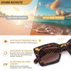 SKYWAY Pack of 2 Bifocal Reading Sunglasses for Men and