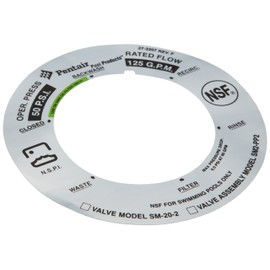 Pentair 273207 2-Inch De Label Replacement for Pentair Pool and Spa Filter