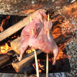 국내산 생지 메추리 20미(1.5kg내외) Domestic Fresh Quail Eggs 20 Pieces (Approximately 1.5kg)
