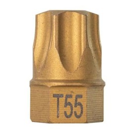 T55 Torx Dual Drive Bit