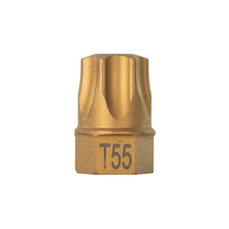 T55 Torx Dual Drive Bit