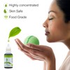 18 Soap Making Scent - Liquid Soap Fragrance Oils Set